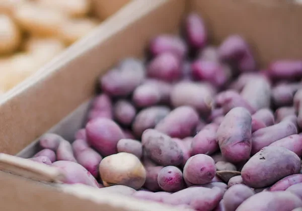 Aardappelen-in-kist Aardappelen-in-kist
