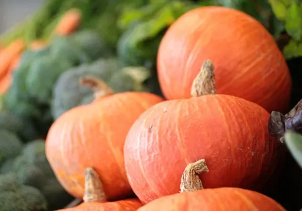 Pompoenen-in-kist-1 Pompoenen-in-kist-1